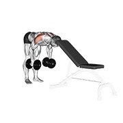 哑铃后侧侧平举（支撑头） 动作演示