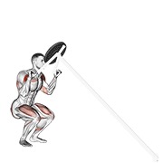 杠杆肩上推举 动作演示