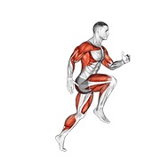 健腹轮跑步 动作演示